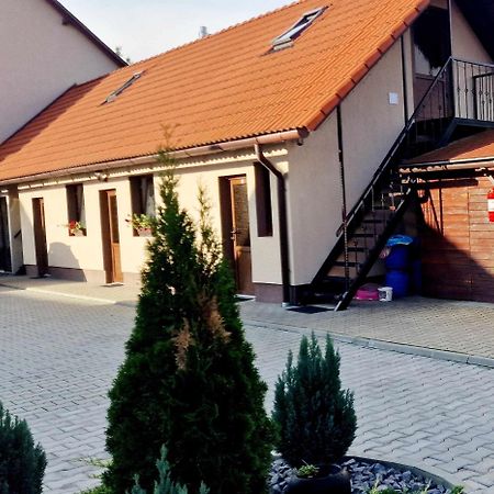 Farkaslaki Panorama Vendeghaz Hotel Lupeni  Exterior photo